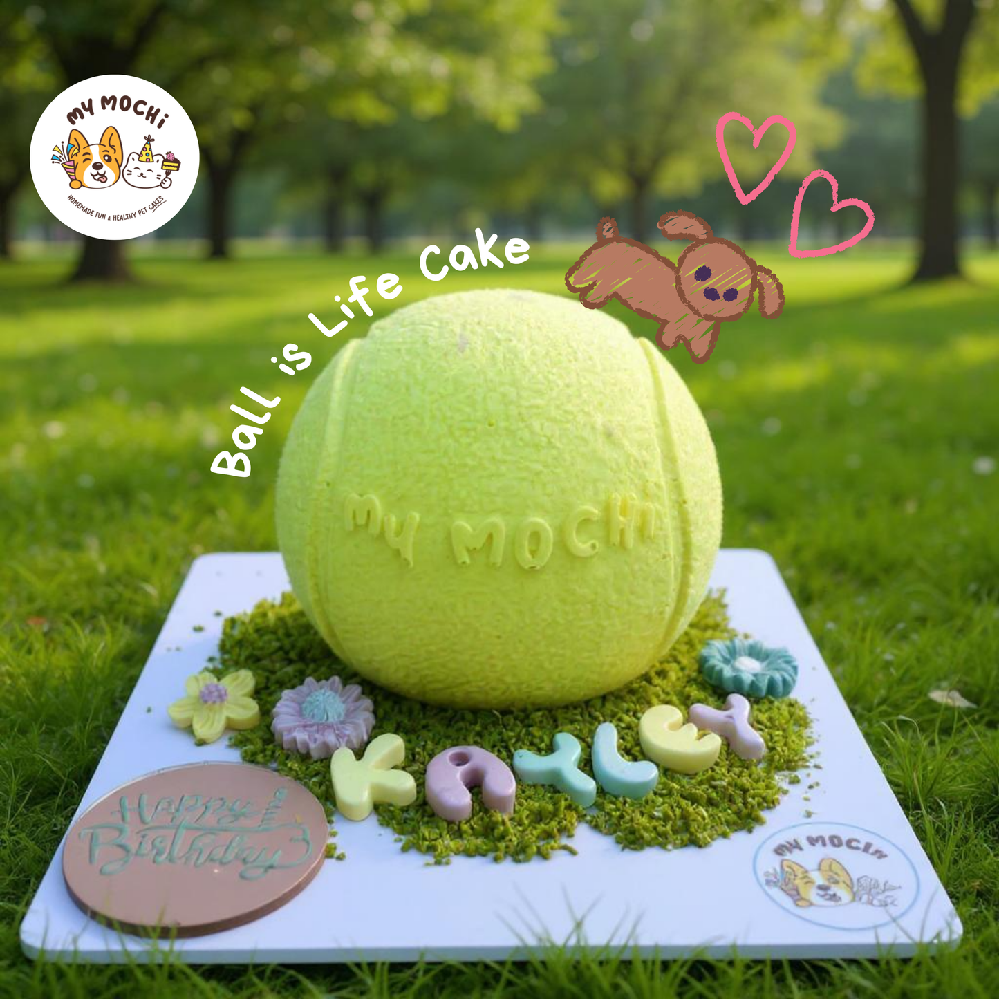 Ball is Life Cake Bundle | Dog Cake | Special Cake for the Special Paw | Organic Yogurt X Meat