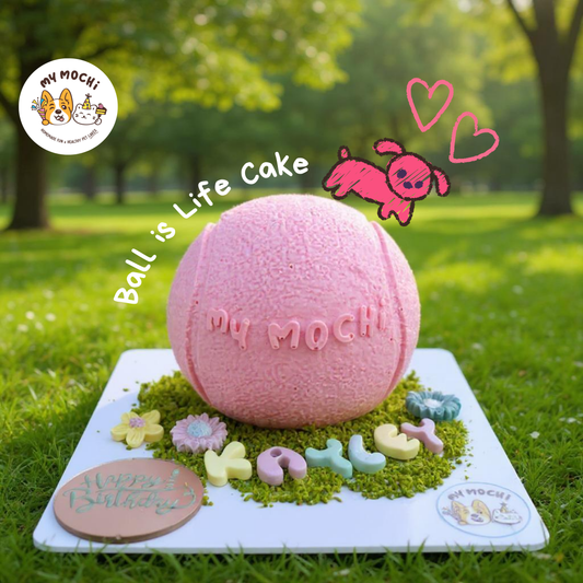 Ball is Life Cake Bundle | Dog Cake | Special Cake for the Special Paw | Organic Yogurt X Meat