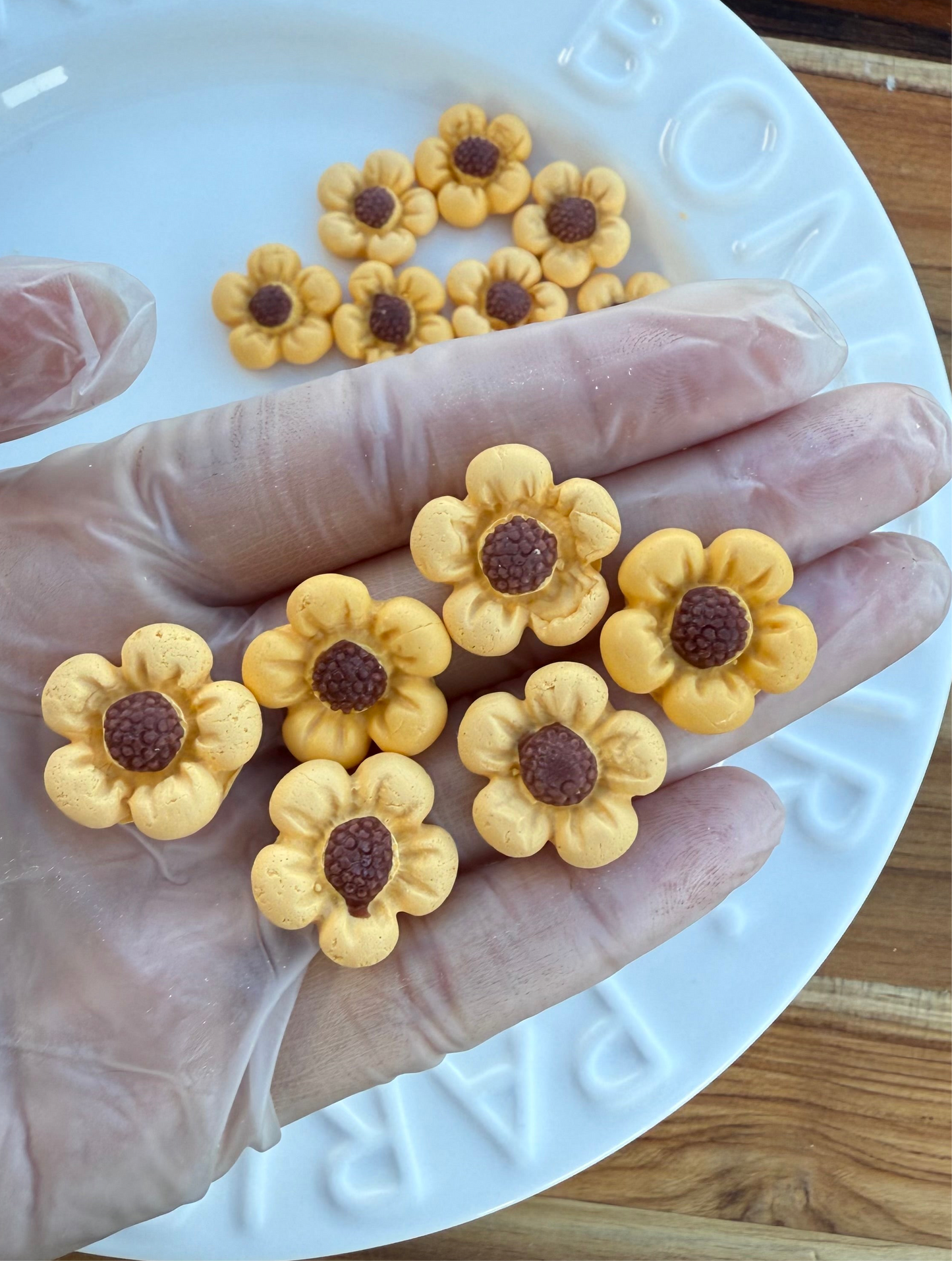 Sunflower Candy| Goat Milk Based |Crunchy |24ct