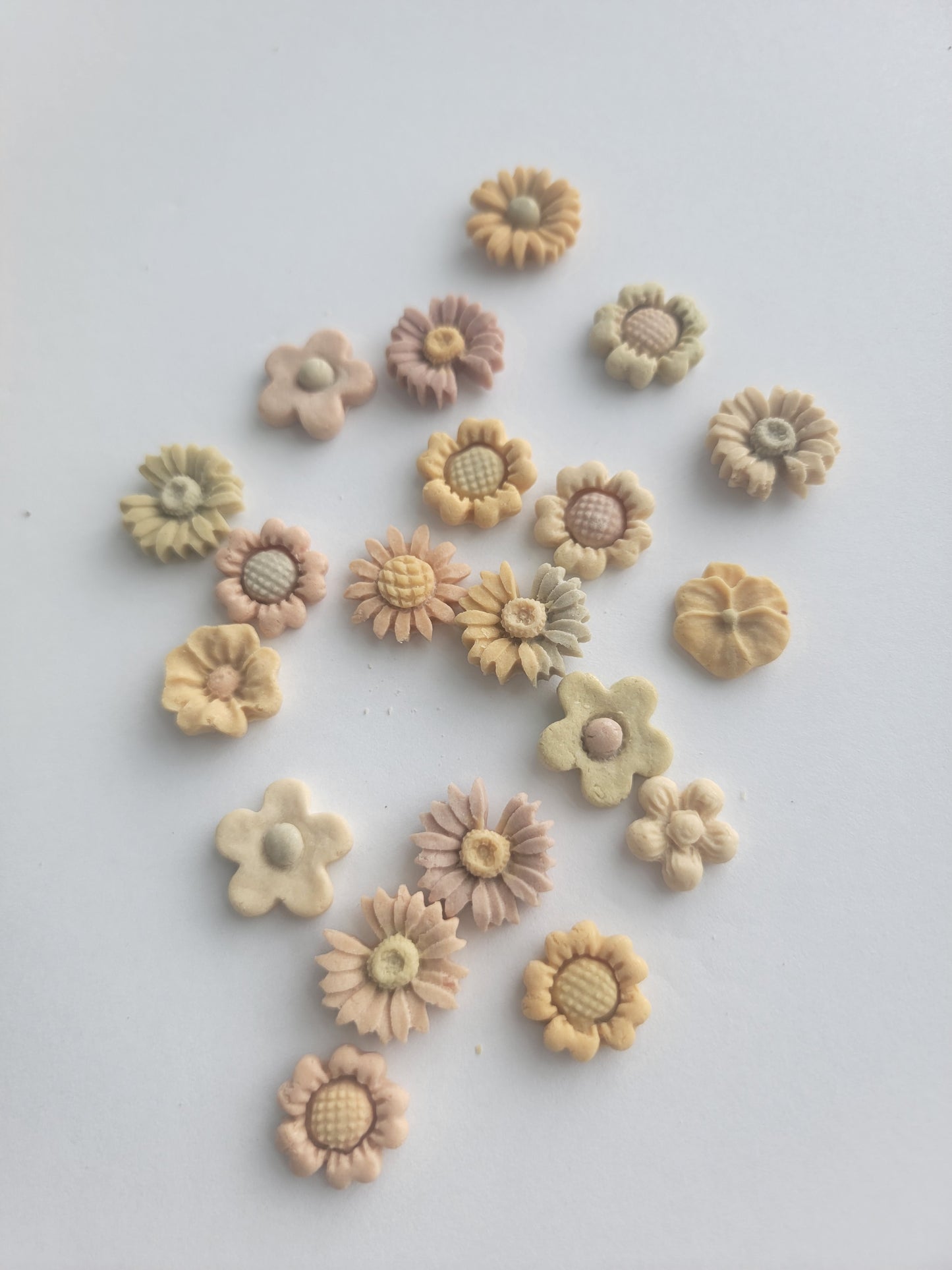Mini Garden Set | Meat Based | Softie | 55-60ct| Handcrafted Assorted Designs