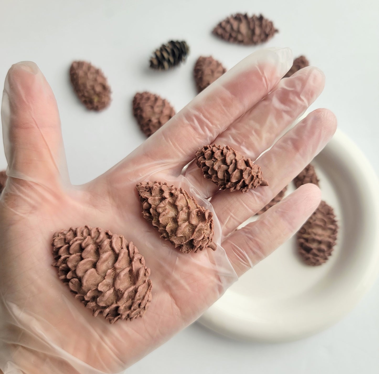 Pinecones | Enrichment & Toppers | Goat Milk Based |Crunchy |3oz/85g (~12ct)