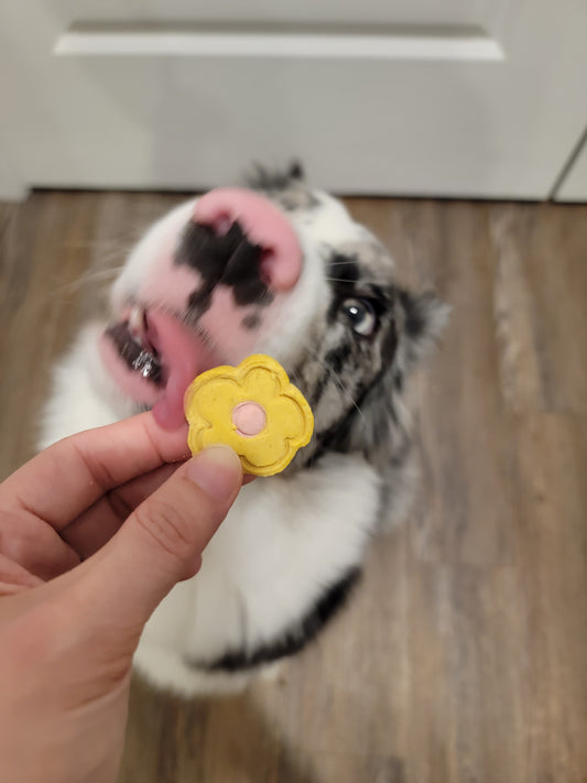 Doodle Daisy Flowers| Enrichment & Toppers | Meat Based |Softie | 10ct | Assorted Designs