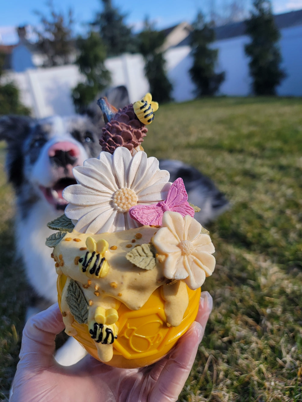 Mini Bees| Enrichment & Toppers | Goat Milk Based |Crunchy | 25ct