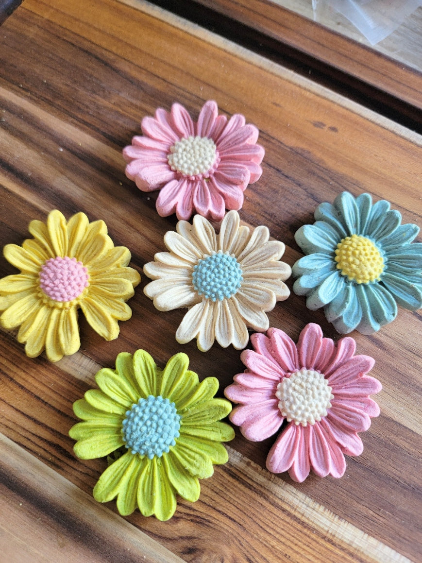 Vibrant Daisy| Meat Based |Crunchy |5ct | Assorted Designs