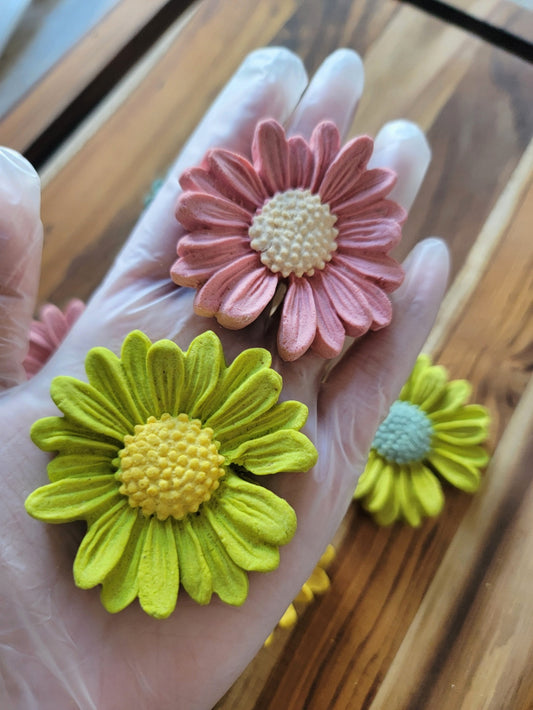 Vibrant Daisy| Meat Based |Crunchy |5ct | Assorted Designs