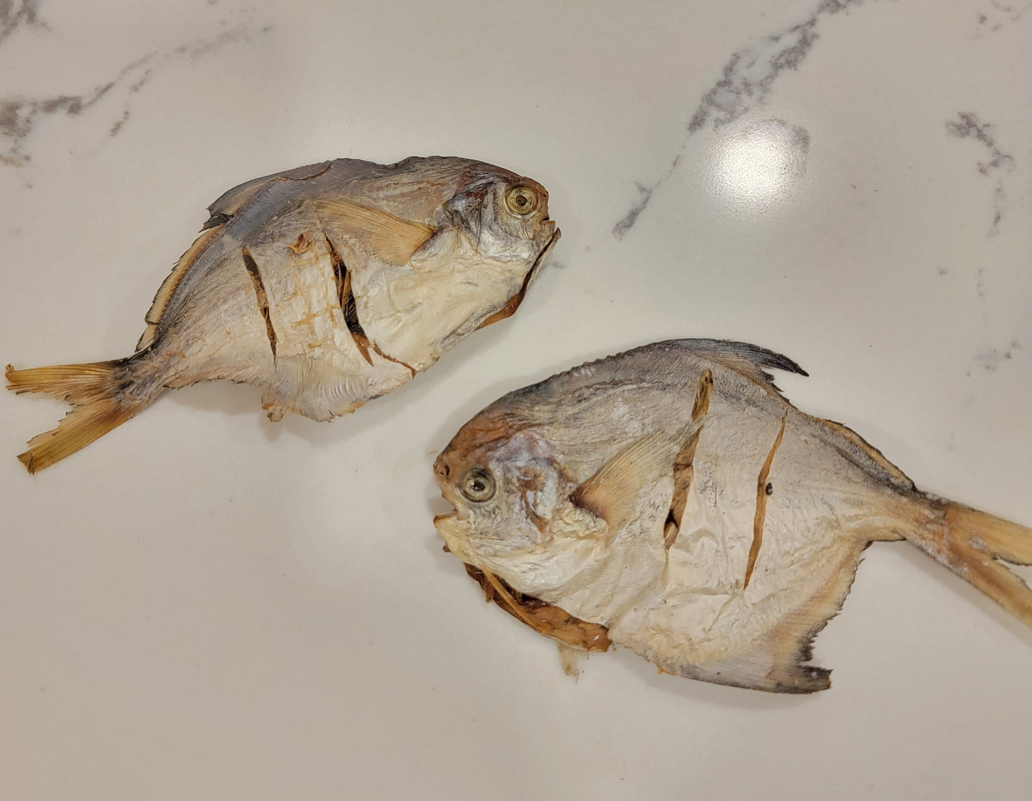Pompano Whole Fish (Gilled & Gutted) | Treats & Premium Seafood Topper | Crunchy |3ct or 5ct Free 1ct