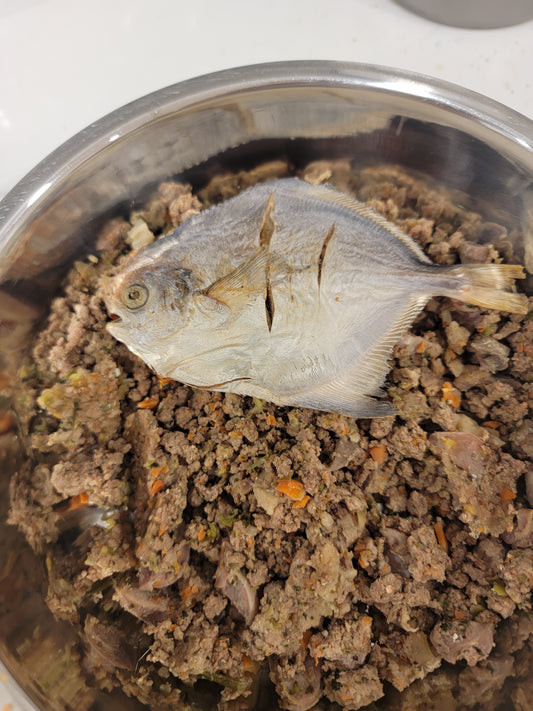 Pompano Whole Fish (Gilled & Gutted) | Treats & Premium Seafood Topper | Crunchy |3ct or 5ct Free 1ct