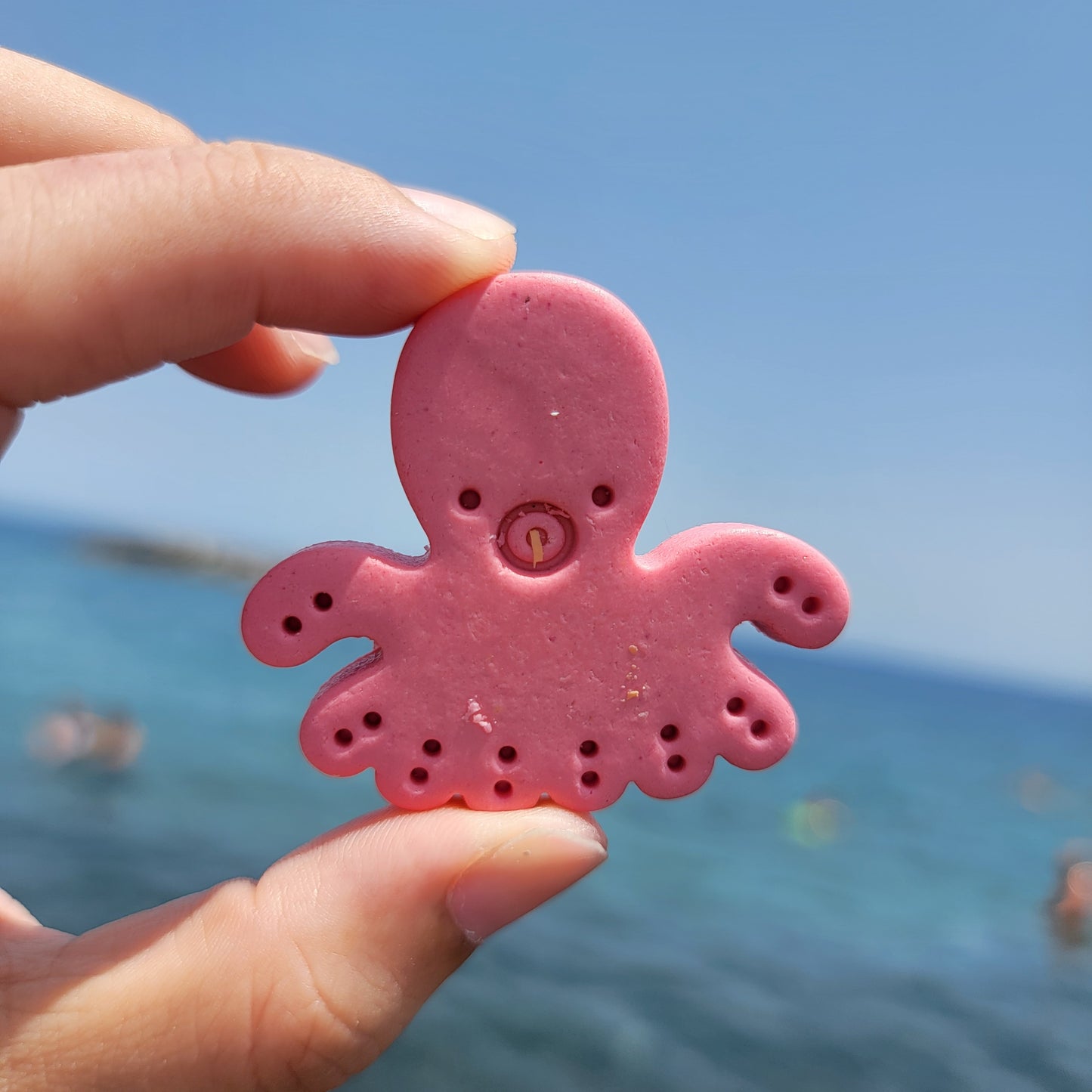 Under The Sea Set| Goat Milk Based |Crunchy | 8ct | Assorted Designs