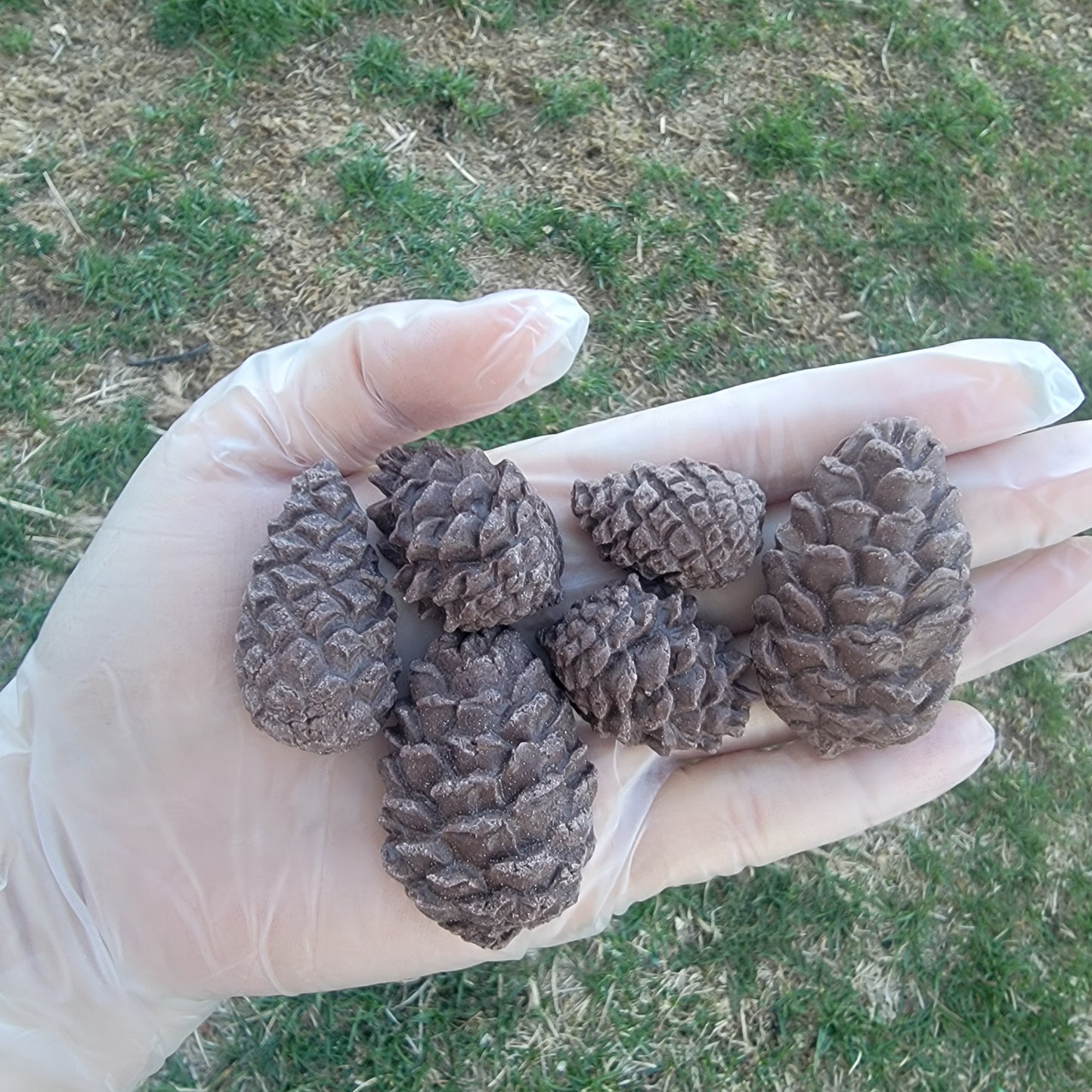 Pinecones | Enrichment & Toppers | Goat Milk Based |Crunchy |3oz/85g (~12ct)