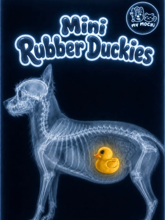 Mini 'Rubber' Duckies – Crunchy Goat Milk, 20ct