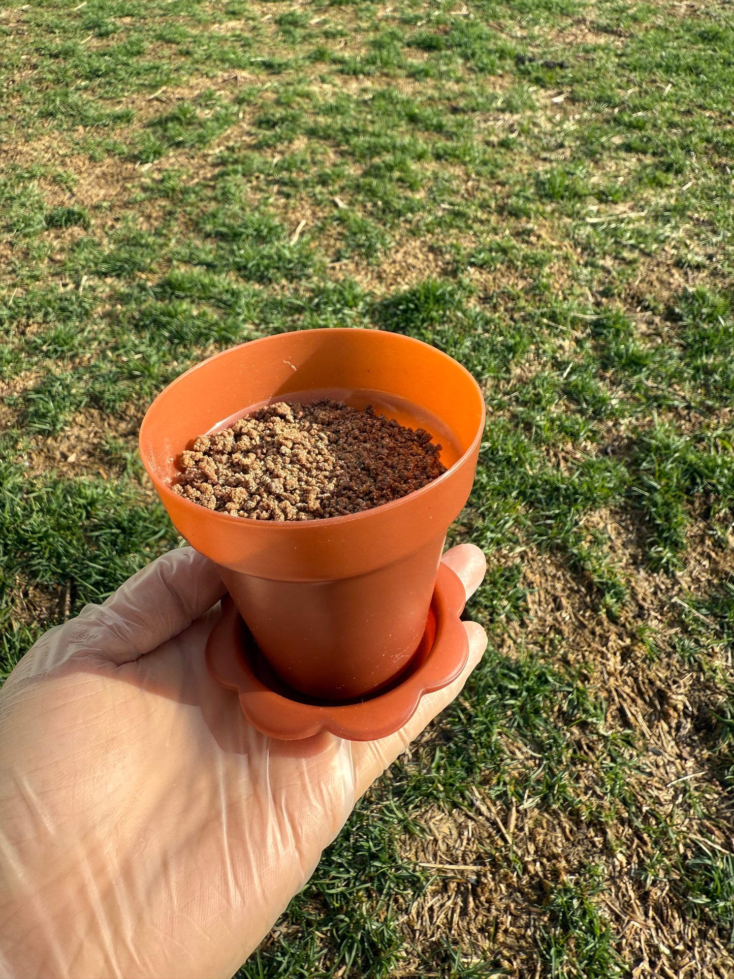 Edible Garden Soil + Mini Pot Set| Meat Based |Softie | 3.5oz/100g