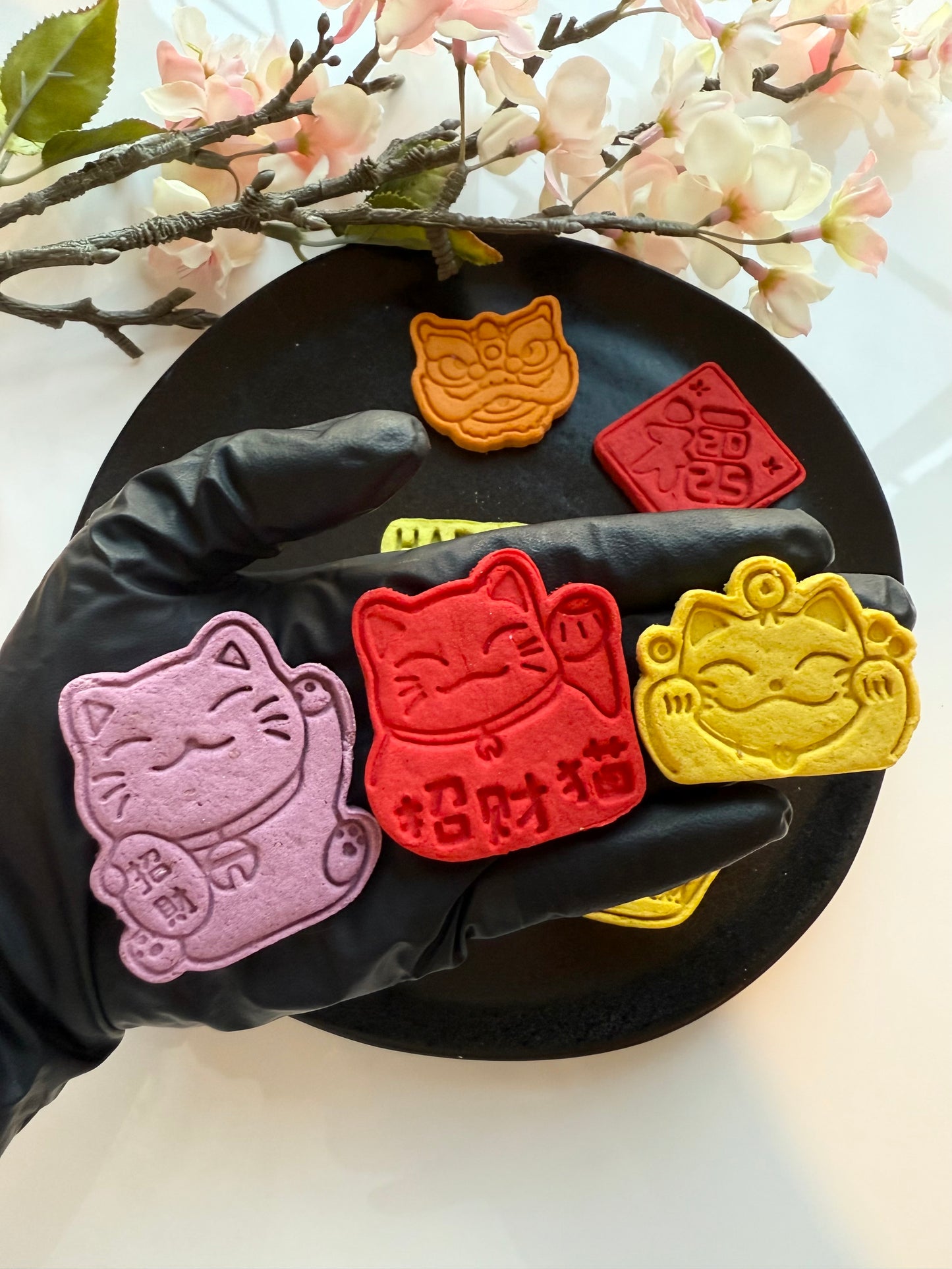 Lunar New Year Mix| Meat Based |Softie | 10ct | Assorted Designs