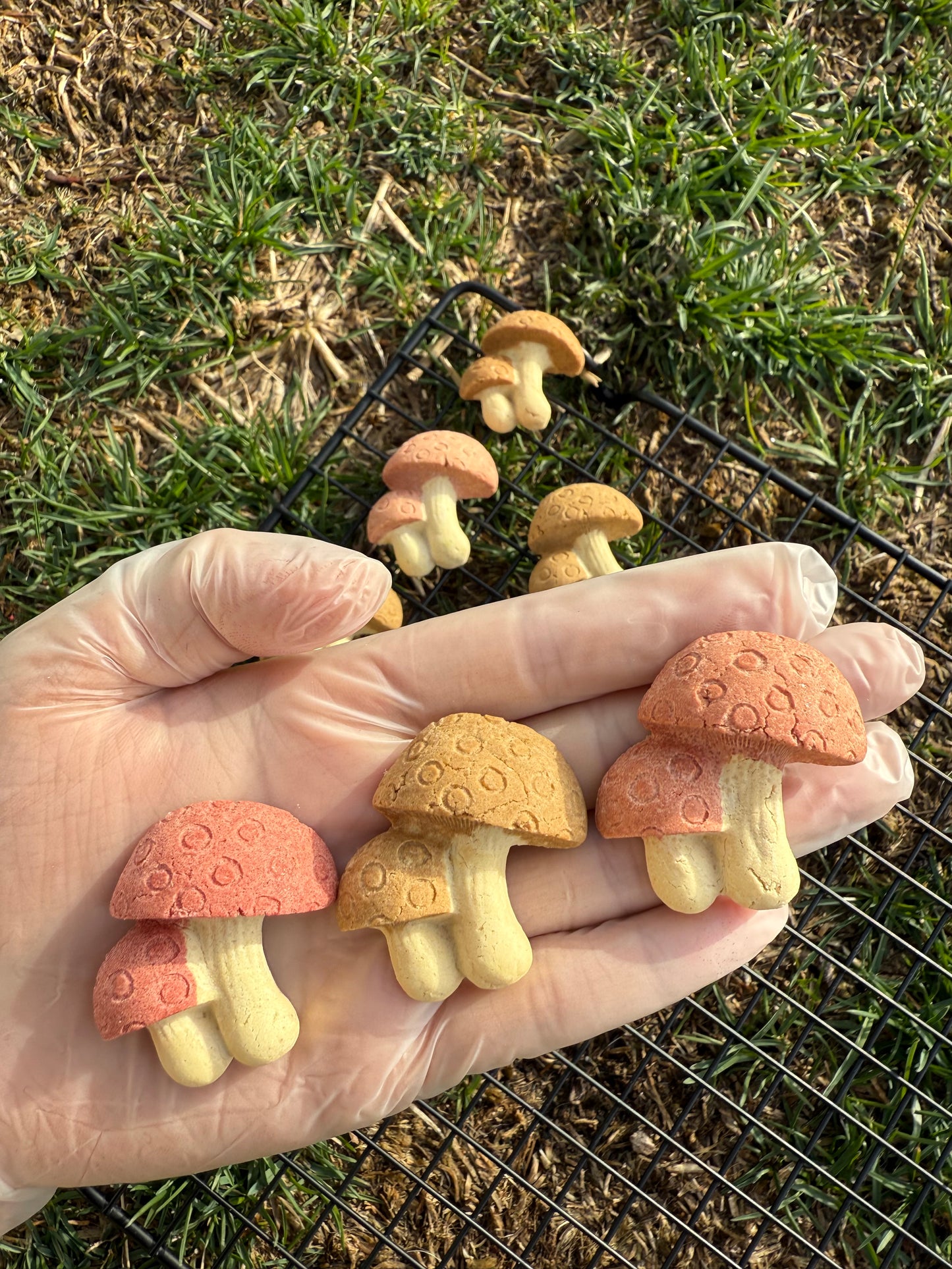 Chicken Mushrooms | Meat Based |Softie | 8ct | Assorted Designs