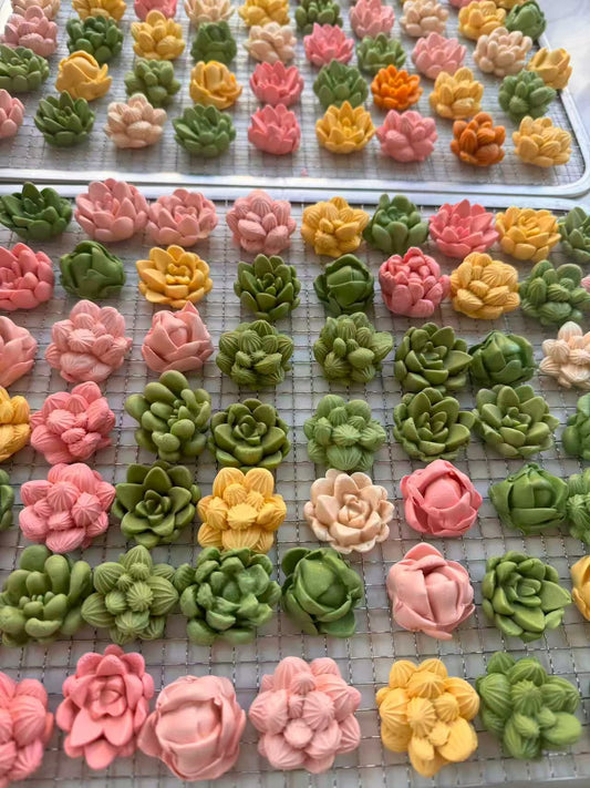 Succulents Plant Dog Treats (Not Soft) – Chewy Chew Goat Milk, 15ct, Assorted Designs