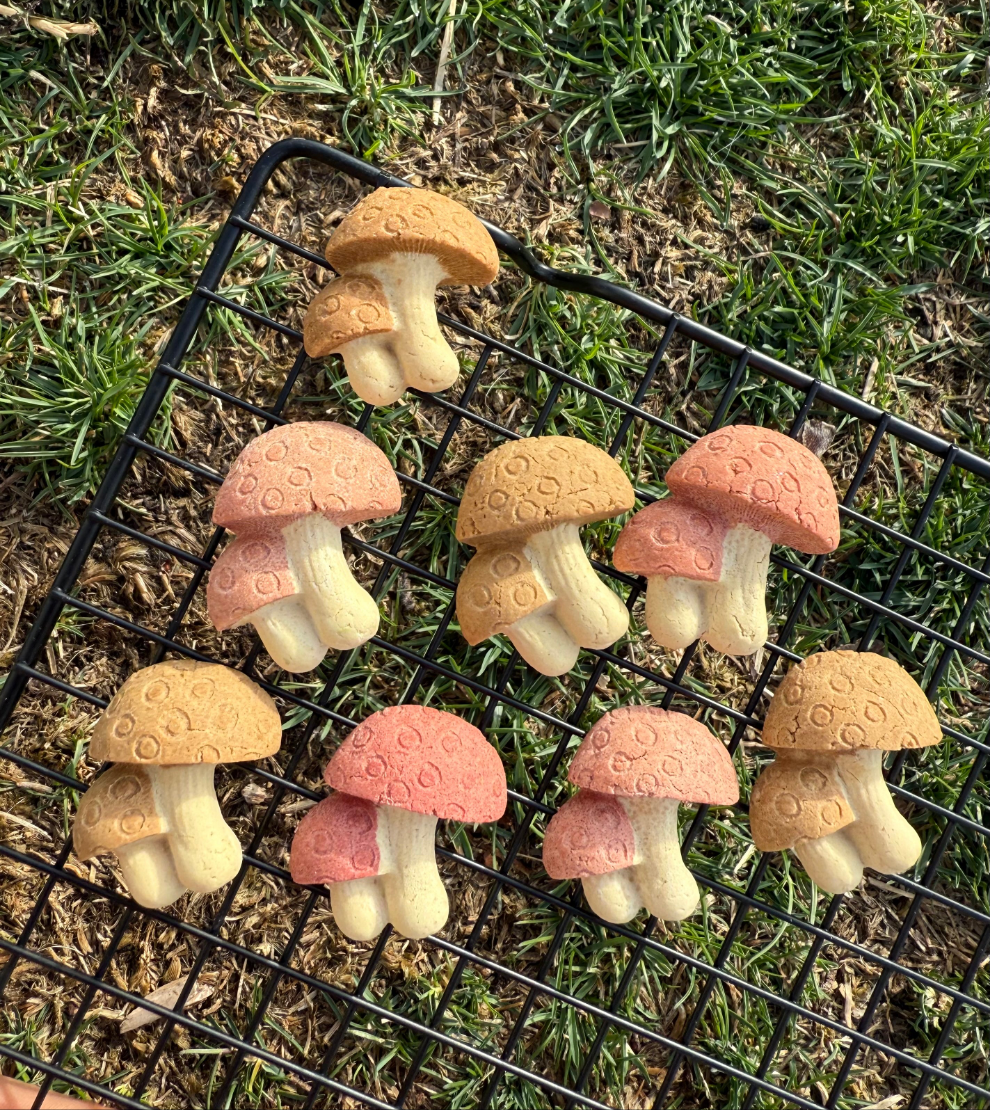 Chicken Mushrooms | Meat Based |Softie | 8ct | Assorted Designs