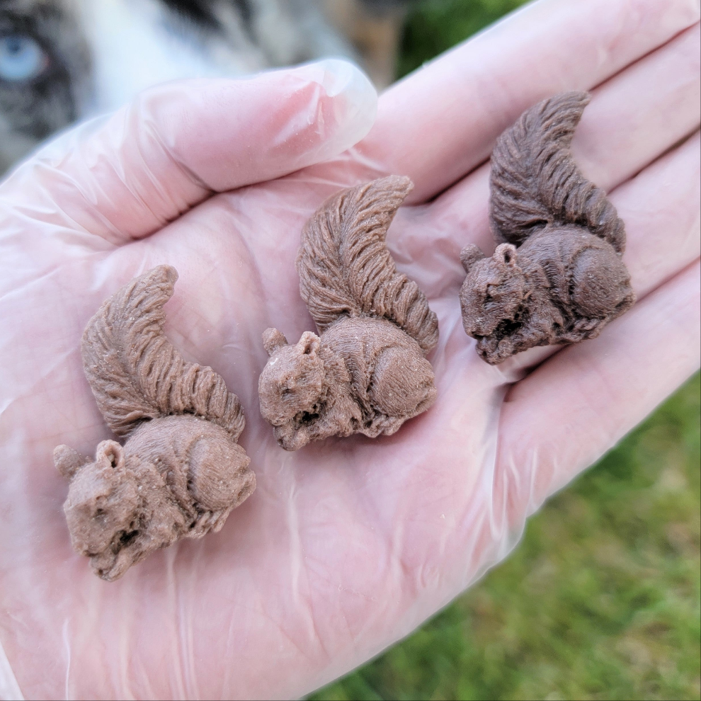 Mini Squirrels| Enrichment & Toppers | Goat Milk Based |Crunchy |12ct
