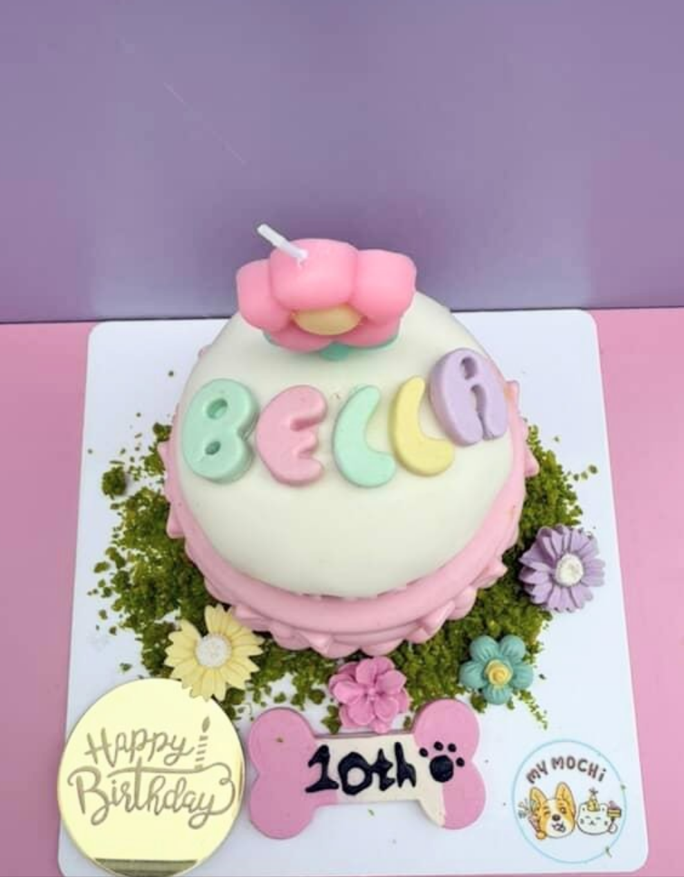 Sweet Heart Cake Bundle (2 Tiers) | Dog & Cat Cake | Special Cake for the Special Paw | Organic Yogurt X Meat