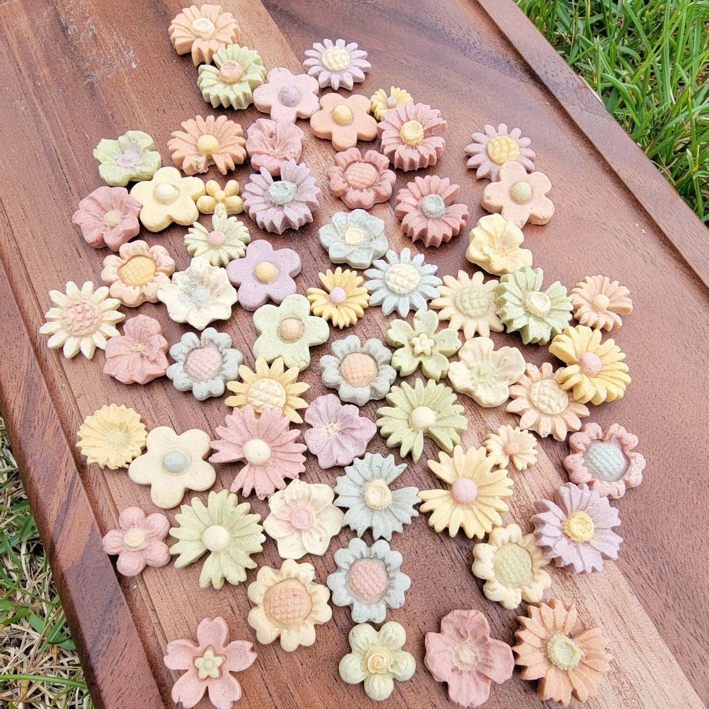 Mini Garden Set | Meat Based | Softie | 55-60ct| Handcrafted Assorted Designs