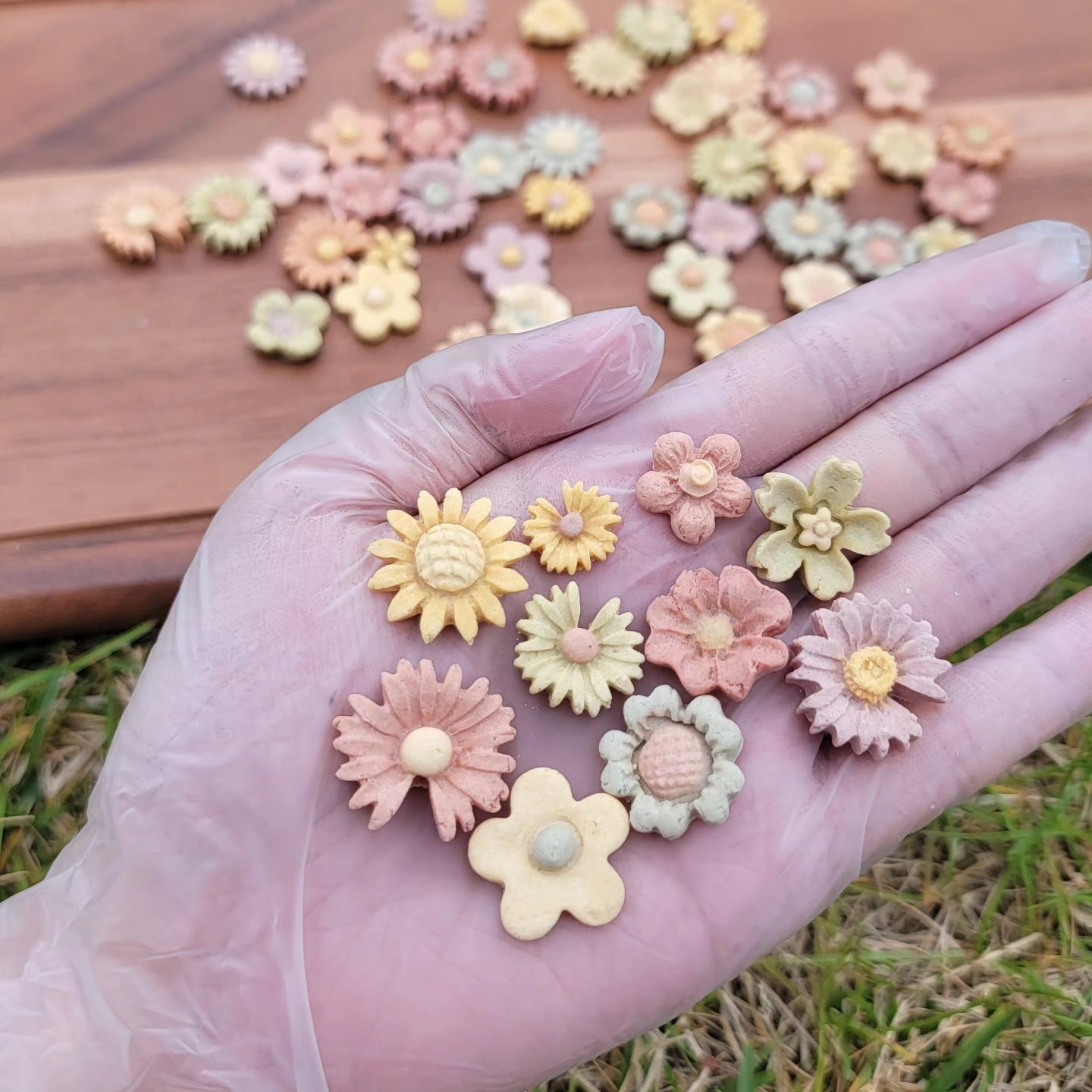 Mini Garden Set | Meat Based | Softie | 55-60ct| Handcrafted Assorted Designs