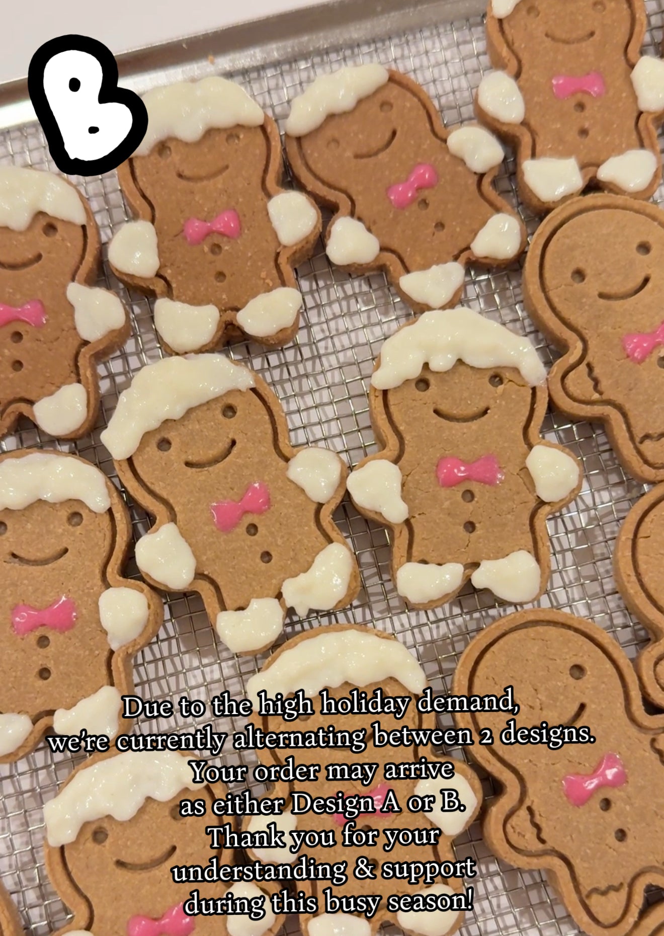 Mini Gingerbread Men| Meat Based |Softie | 5ct| Assorted Designs