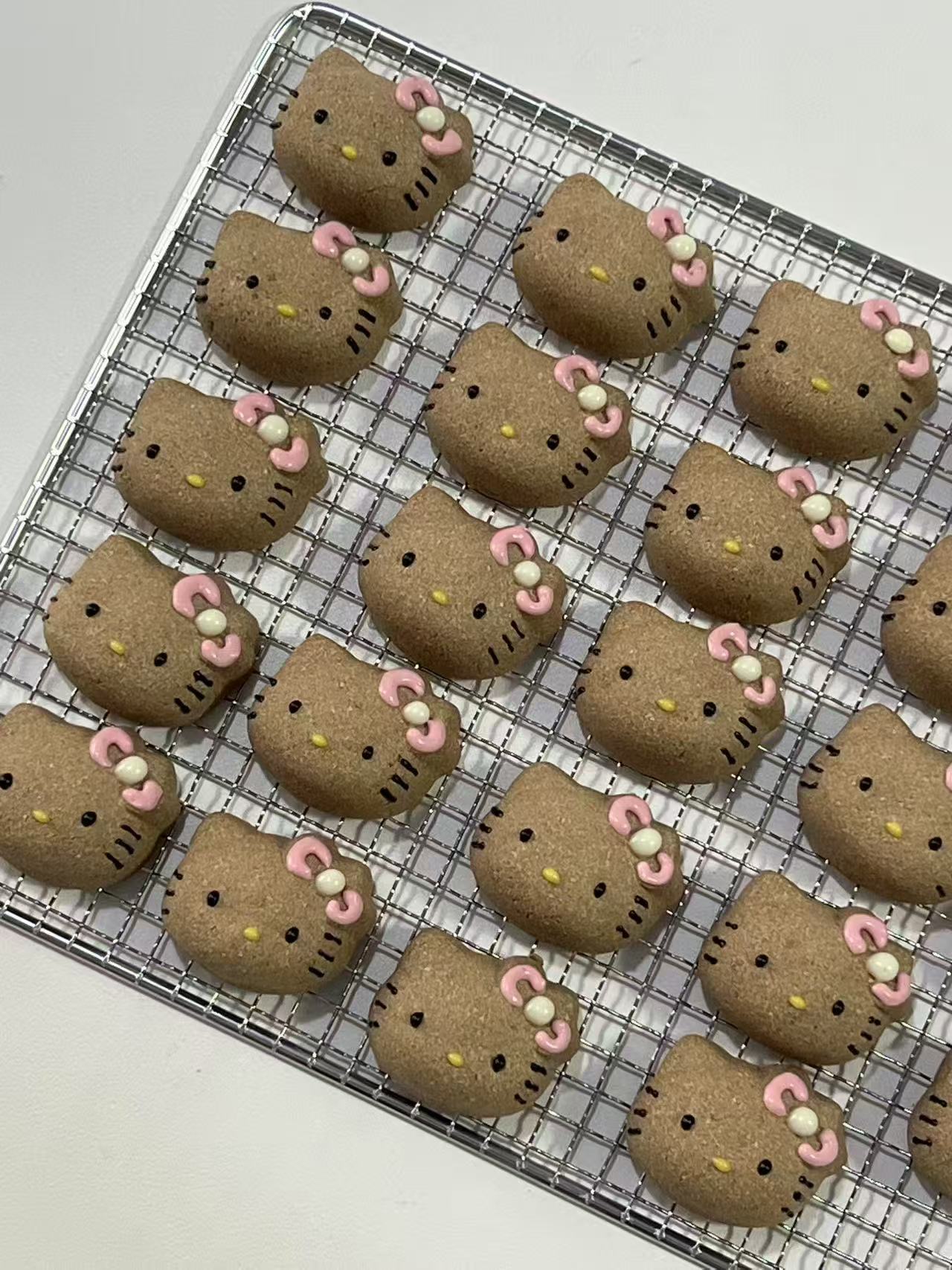 Sunburnt Kitty (Limited Stocks) | Meat Based | Crunchy | 2ct