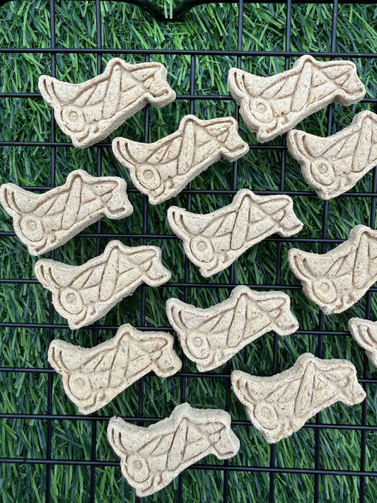 Exotic Cricket Protein Pet Treats (+Duck) – Soft & Chewy Meat Based, 30ct
