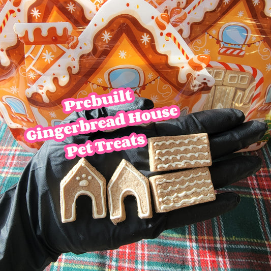 Mini Gingerbread House Fun Kit | Meat Based |Softie | 1 Set
