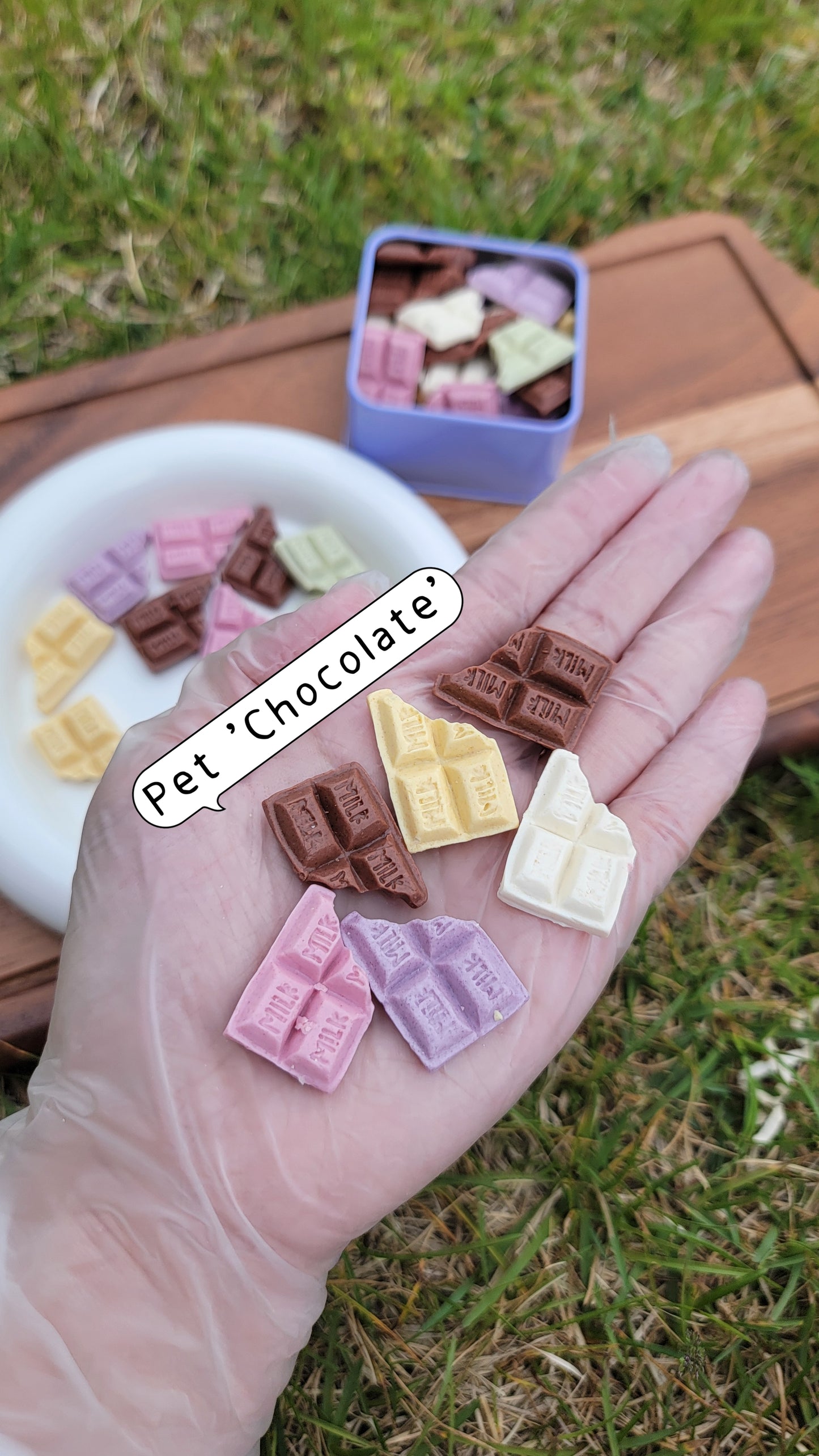 Mini 'Chocolate' with Candy Tin | Goat Milk Based |Crunchy |20ct | Assorted Designs