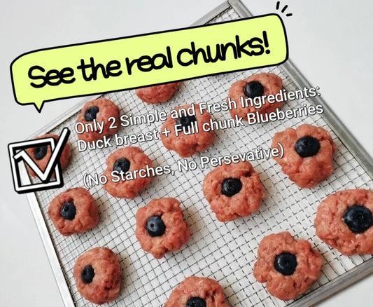 Duck Blueberries Bites| Protein x Superfood Based |Chomper | 1.8oz/50g