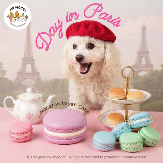 Macaron Cake Bundle (3 Tiers) | Dog & Cat Cake | Special Cake for the Special Paw | Organic Yogurt X Meat