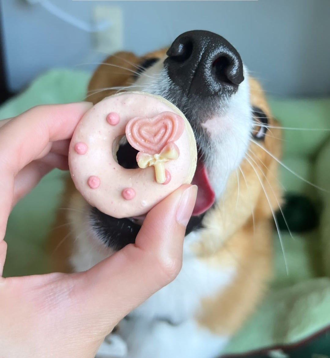 Artisan Pup Donut Pawty Set | Sugar Free Icing & Meat Based | Crunchy | 3ct or 5ct | Assorted Designs