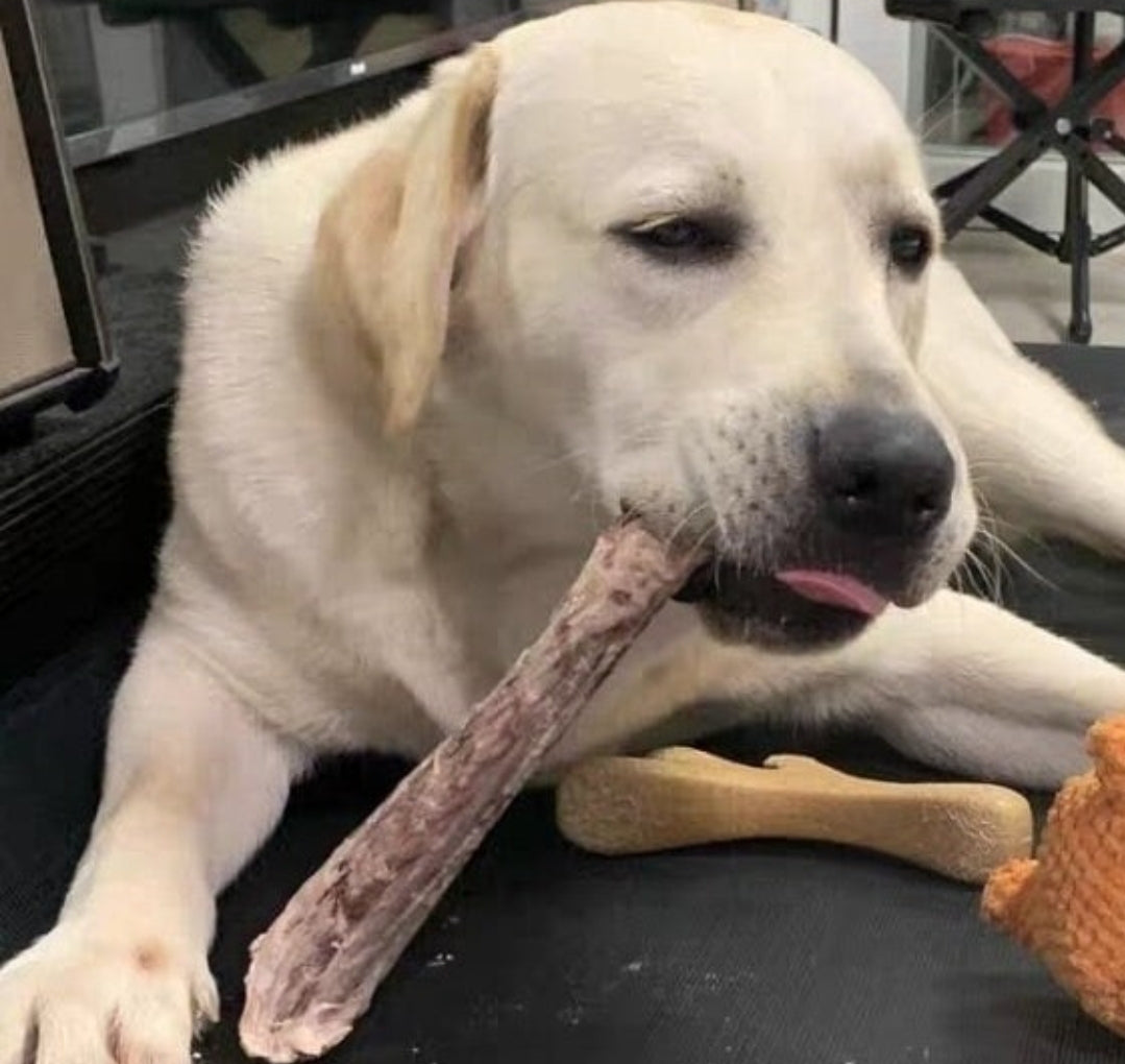 XL Turkey Neck Chew| Meat Based |Chomper | 1ct