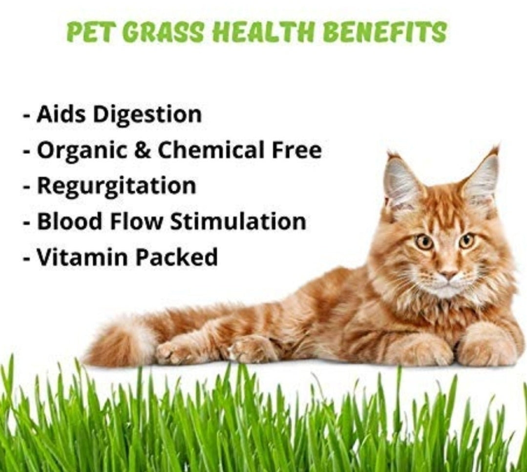 Organic Cat Grass Fish Bones | Meat Based |Picky Easter & Softie | 18ct, 36ct or 54ct