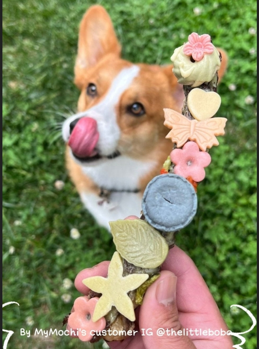 French Macarons Set | Meat Based | Crunchy | 7ct | Assorted Flavors