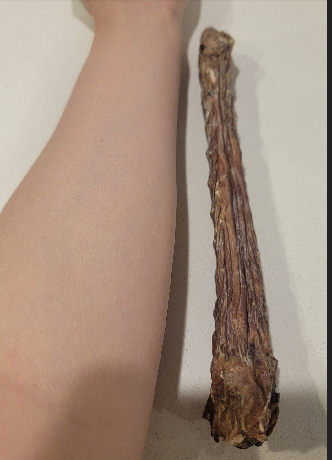 Homemade Dehydrated Natural Duck Neck (Removed Fat) | Meat Based |Chomper |1ct