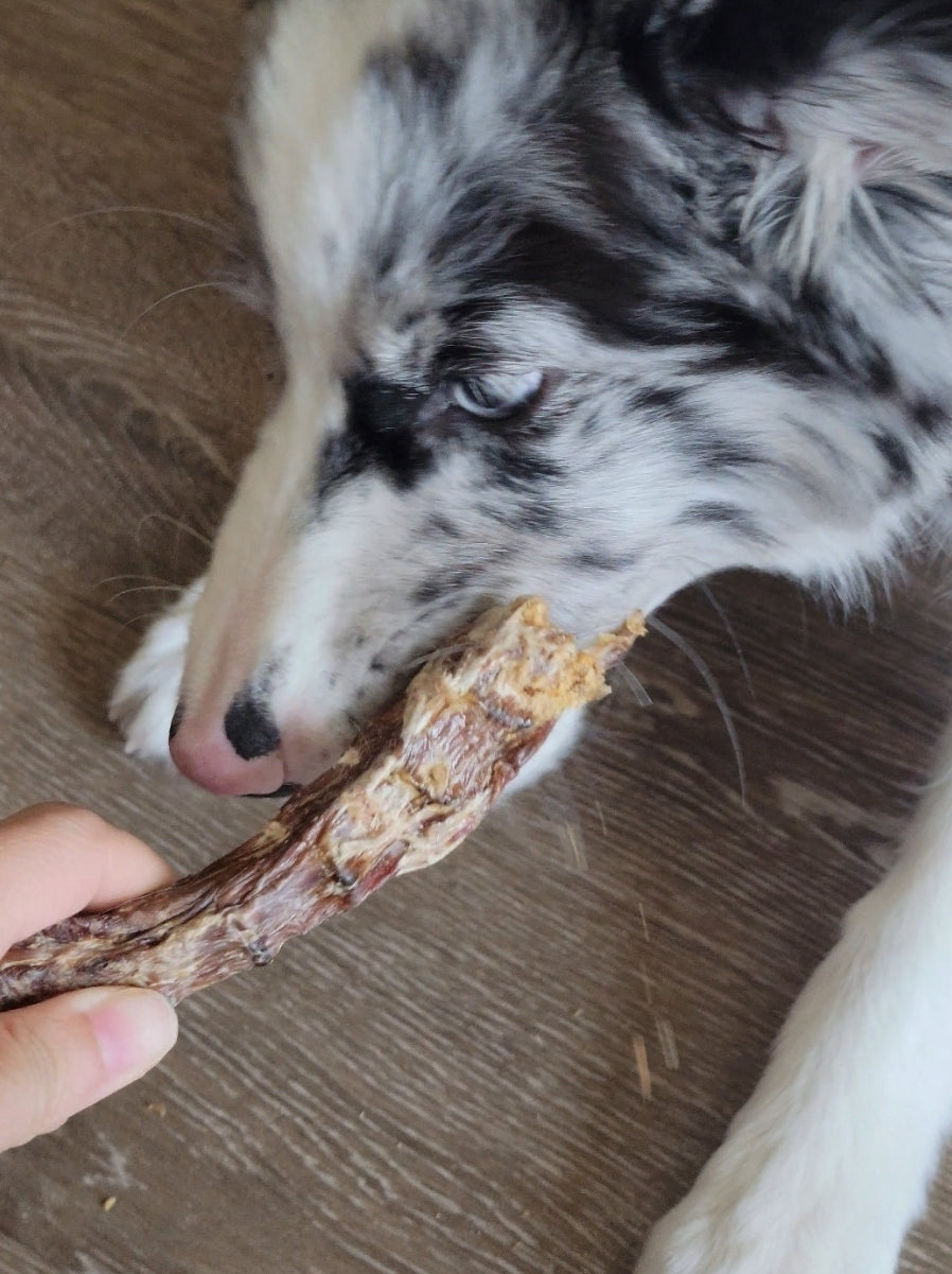 Homemade Dehydrated Natural Duck Neck (Removed Fat) | Meat Based |Chomper |1ct