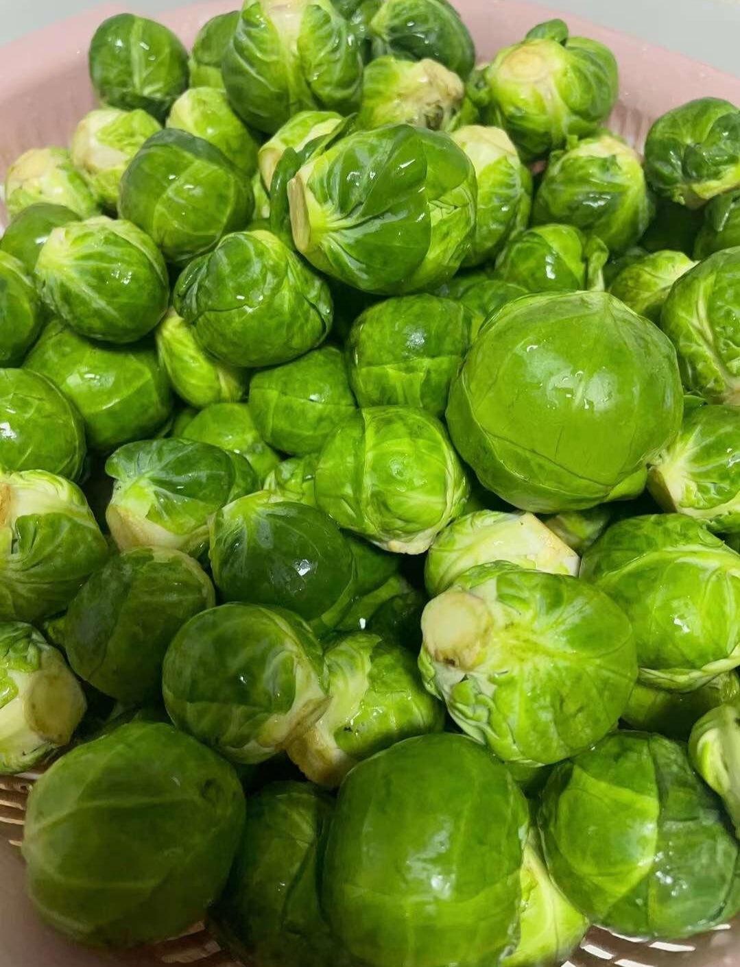 Duck Brussel Sprouts | Protein x Superfood Based |Crunchy |1.8oz/50g
