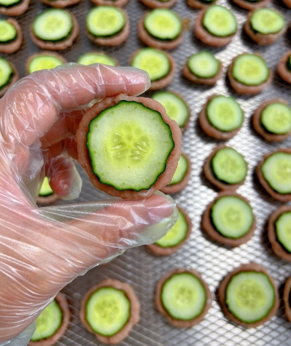 Duck Cucumbers Bites | Protein x Superfood Based |Crunchy |1.8oz/50g