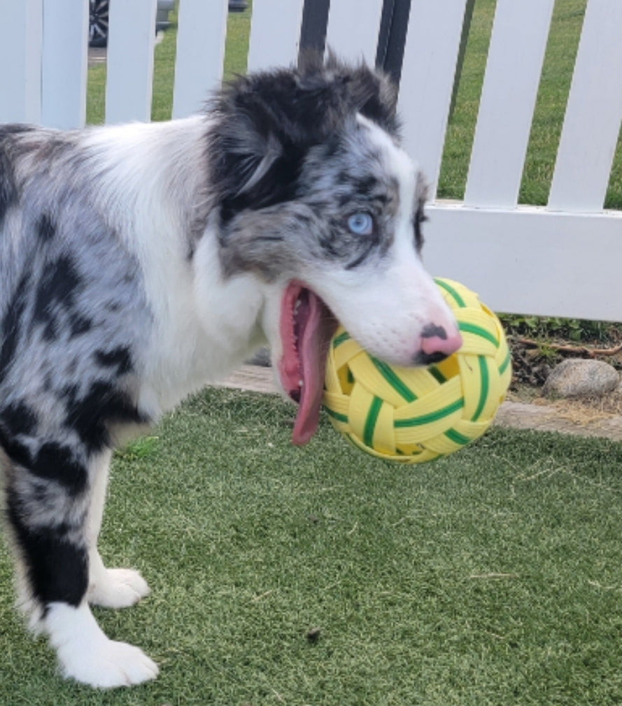 Long Lasting Durable Dog Ball | Play & Energy Drainer | 1ct