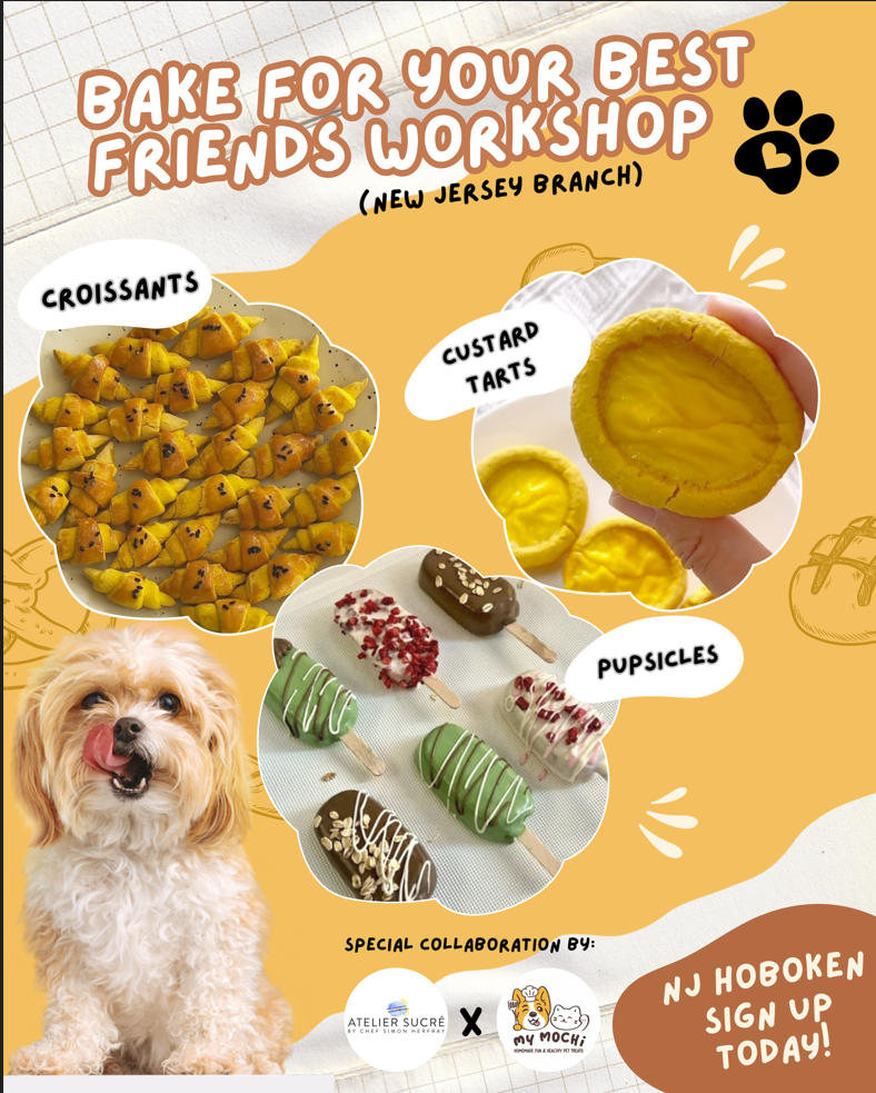 MyMochi Bake for Your Best Friends Workshop @Hoboken NJ _OCT 26