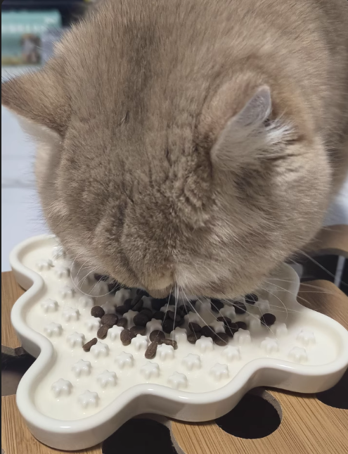 Minimalist Star Ceramic Slow Feeder| Cat & Dog Feeders | Dishwash-able | 1ct | S Size