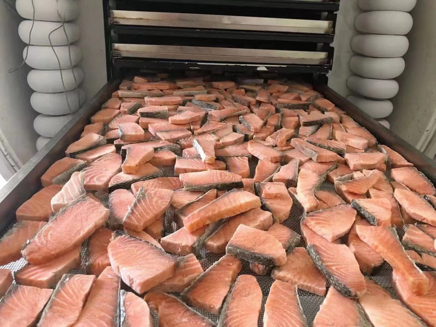 Norwegian Salmon Fillet (Skin-On)| Omega & Premium Quality | Seafood Based |Softie | 2.8oz/80g