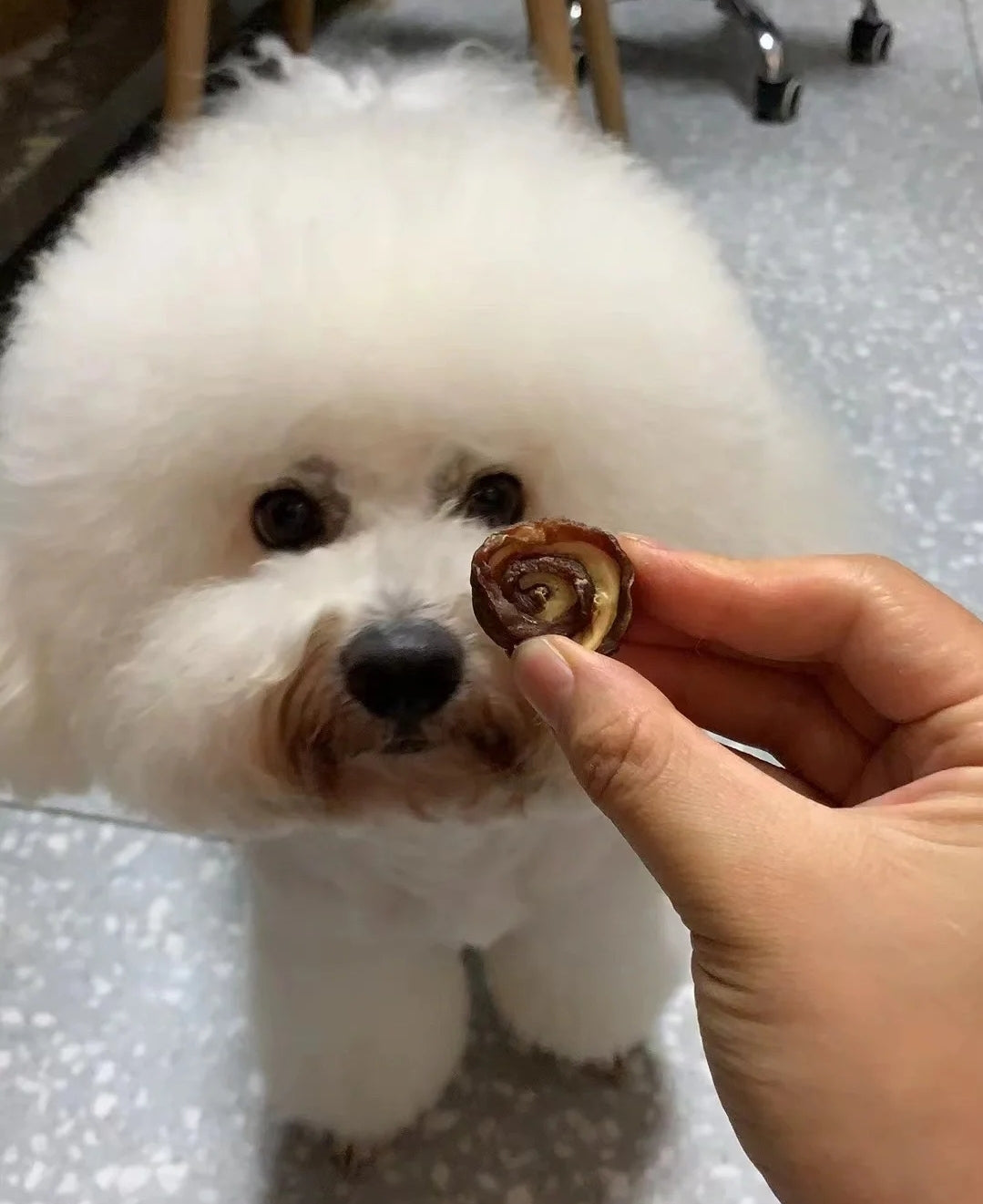 Cinnabark Roll Dog Treat | Meat Based | Chomper | 1.8oz/50g (14-16ct)