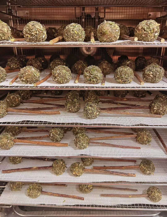 Cat Lollipops Enrichment Chews | Enrichment x Meat Based | Chomper |5ct