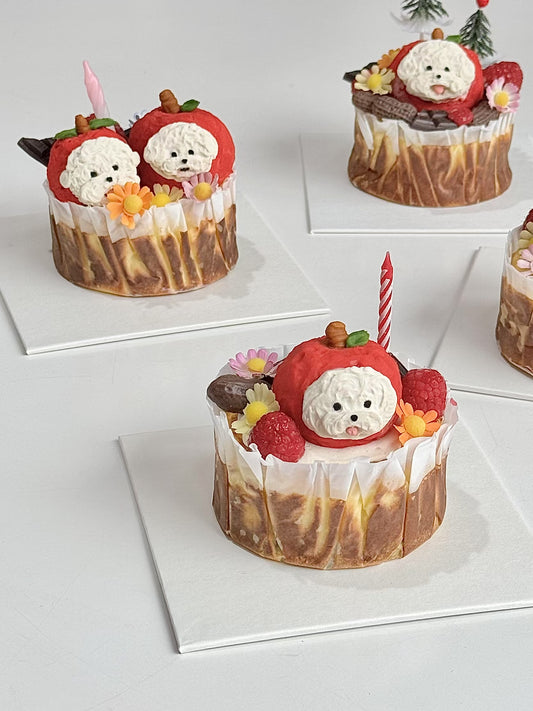 Basque New York Cheesecake Bundle | Dog & Cat Cake | Special Cake for the Special Paw | Organic Yogurt X Meat