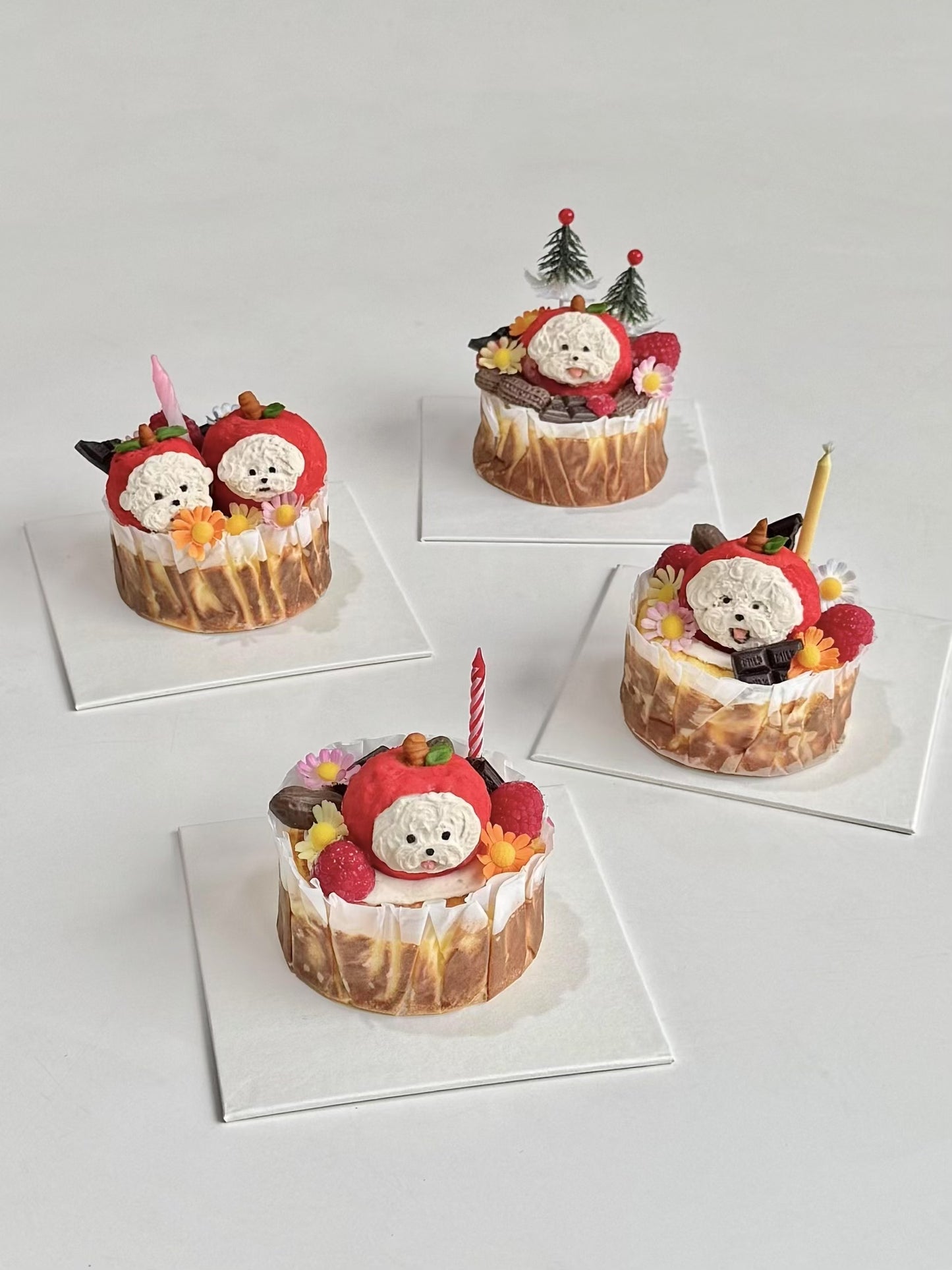 Basque New York Cheesecake Bundle | Dog & Cat Cake | Special Cake for the Special Paw | Organic Yogurt X Meat