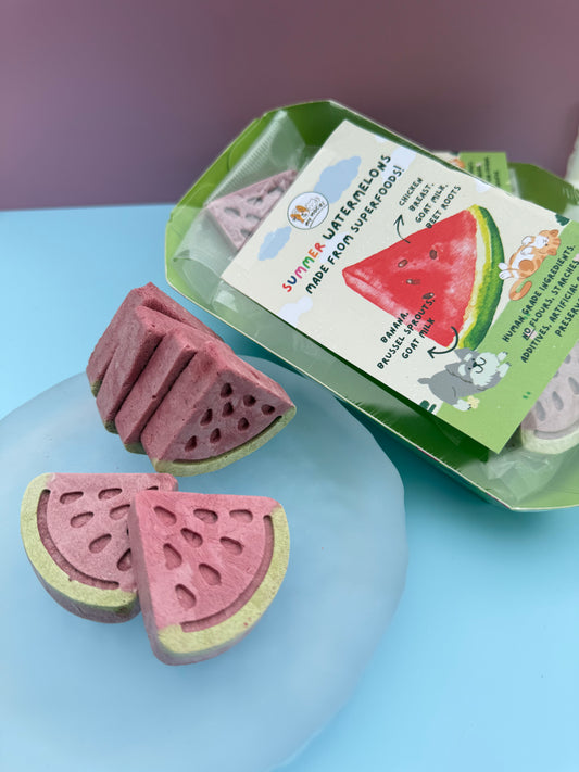 Summer Superfood Watermelon| Meat Based |Softie | 5ct