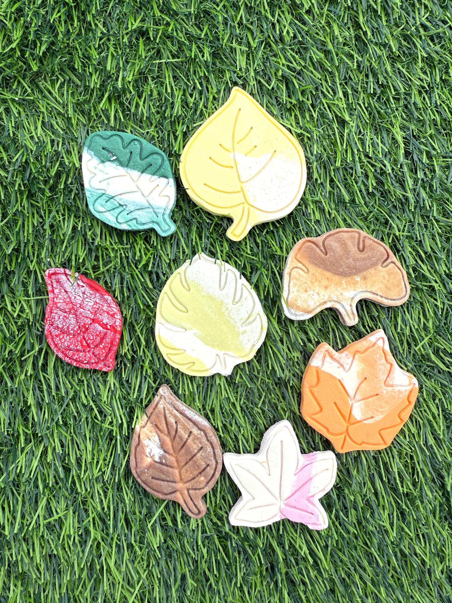 Bark & Leaf Bites | Enrichment & Toppers| Goat Milk Based | Chomper | 2.54oz, 72g| Assorted Designs