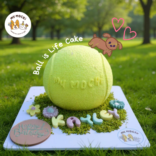 Ball is Life Cake Bundle | Dog Cake | Special Cake for the Special Paw | Organic Yogurt X Meat