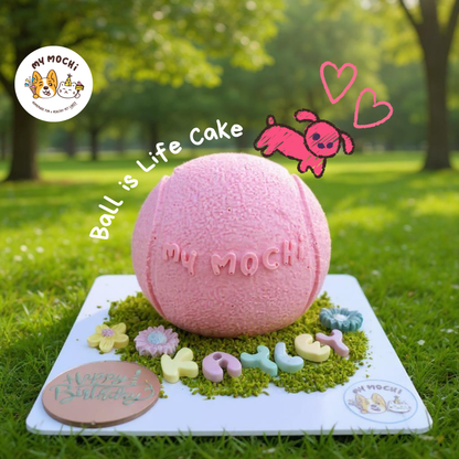 Ball is Life Cake Bundle | Dog Cake | Special Cake for the Special Paw | Organic Yogurt X Meat